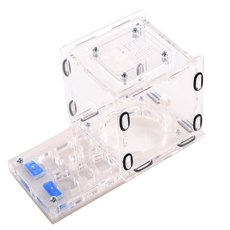 Ant Expert King's Valley - professional acrylic formicarium